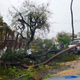 The cyclone has downed trees and cut communication throughout Mozambique.